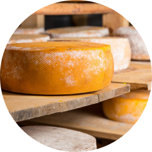 NZ Artisan Cheese