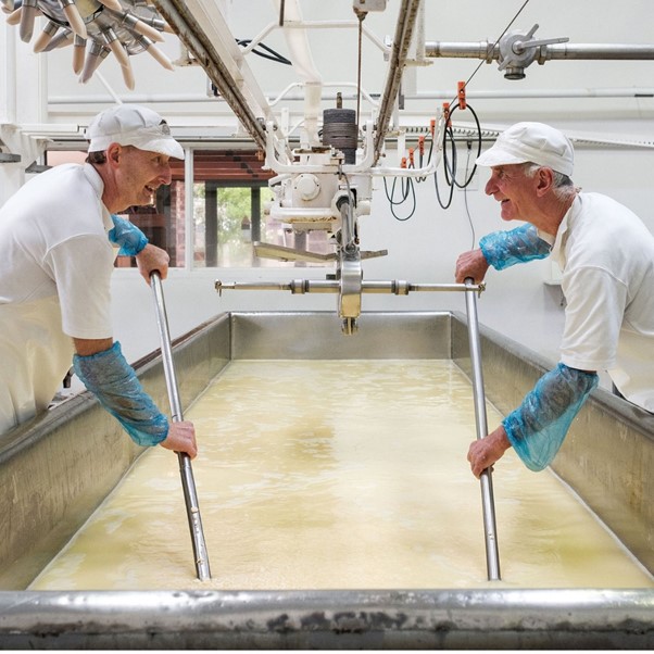 New Zealand Cheese makers