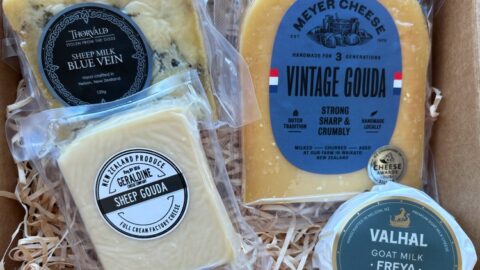 Selection of gourmet cheese