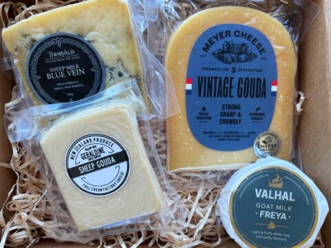 Selection of gourmet cheese